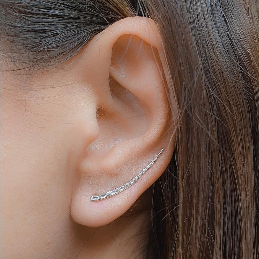 Elegant Silver Ear Climber Earrings